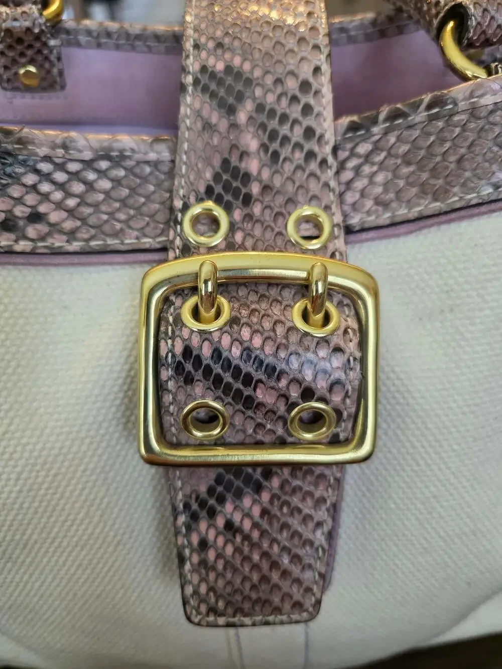 Coach Canvas and Snakeskin Trim Boxy Tote Handbag